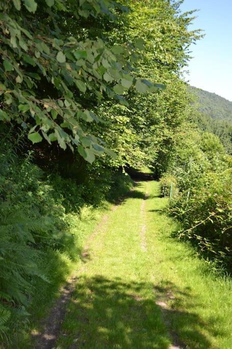 Ferienhaus Authentic In Semoy Valley Haulme
